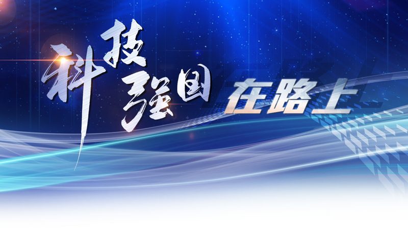 上海数据服务硬件批发价格解析：揭秘市场动态与选购要点