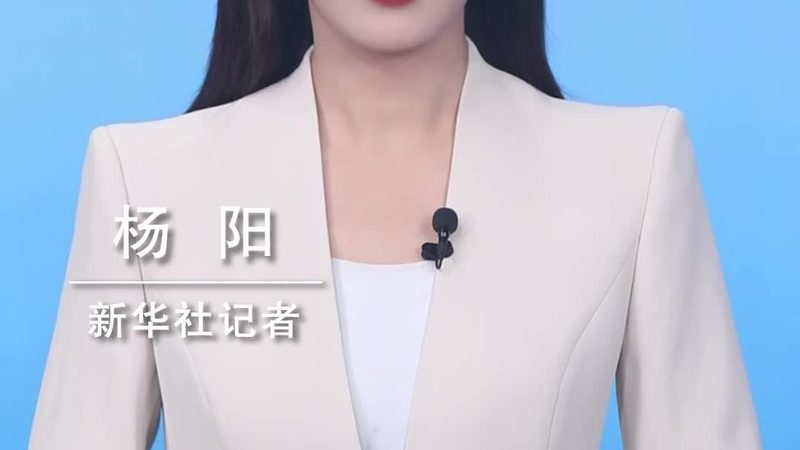 知识图谱存储方式的性能与适用场景分析